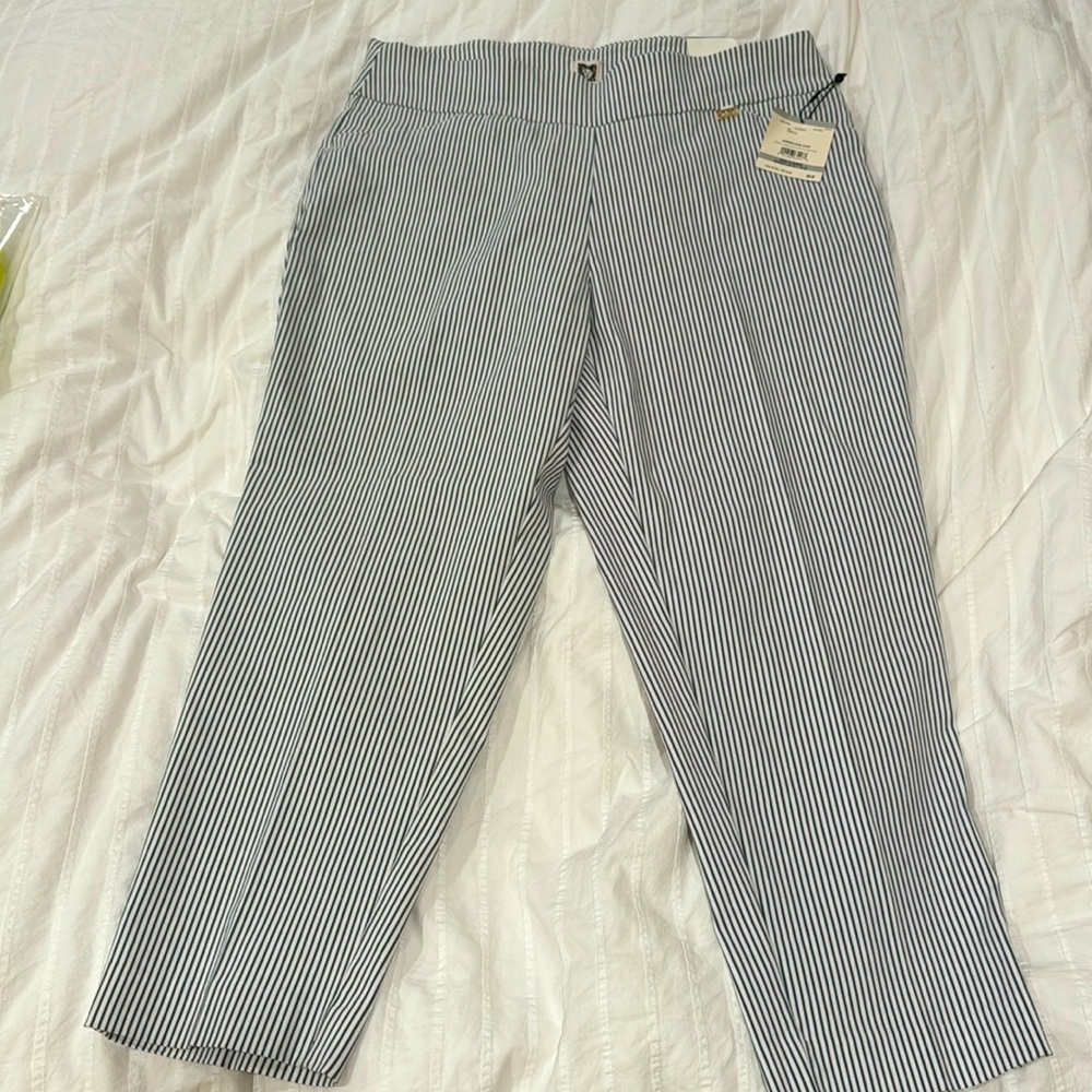 Anne Klein stripped slim ankle pull on pants, 1X